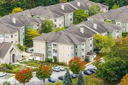 a close up of a flower garden